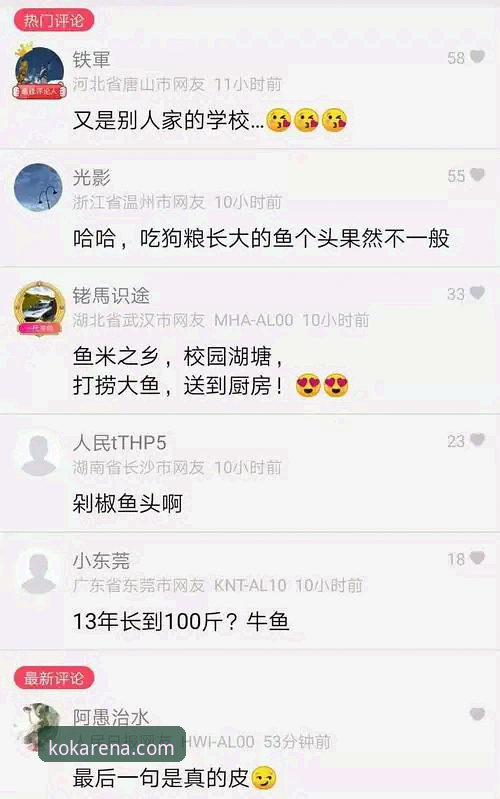 KOK体育平台使用教程最新动态：v3.2.1版本功能与操作全解析